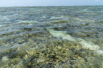 Lady Elliot Island shoreline Great Barrier Reef, Australia