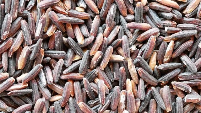 Rice Berry Is rice that still has paddy mixed in Which is rice with high nutritional value
