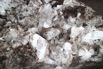 Melting pieces of contaminated snow