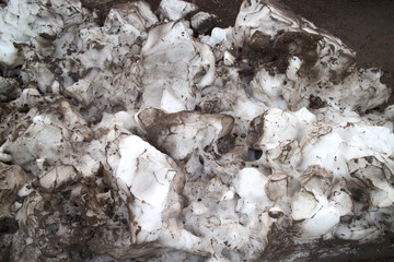 Melting pieces of contaminated snow