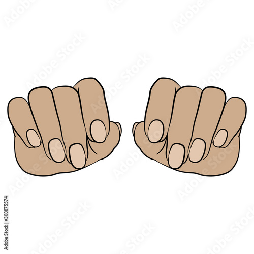 Front View Of Two Human Caucasian Hands Cartoon Style Isolated Vector Illustration Wall Mural Olena
