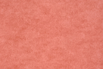 逆光で撮ったピンクの紙