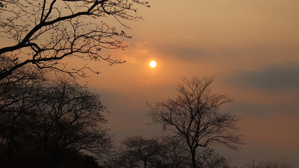 Fototapeta premium atardecer en el campo