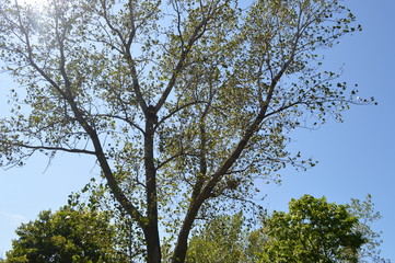 Photos 1-2-3