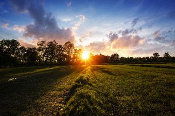 little field and sunset sky in golden hours.