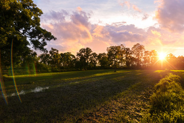 Fototapeta na wymiar little field and sunset sky in golden hours.