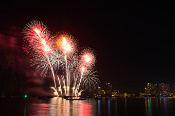 Beautiful sparkling colorful fireworks look like beautiful flower at night sky with cityscape and sea view background