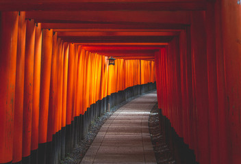 Red torii gates