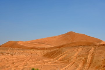 Fototapeta na wymiar Sand dunes in Al Ain desert, United Arab Emirates