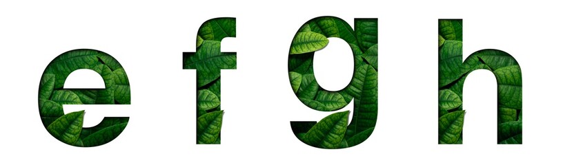 Font leafs e,f,g,h made of Real alive leafs with Precious paper cut shape. Leafs font.
