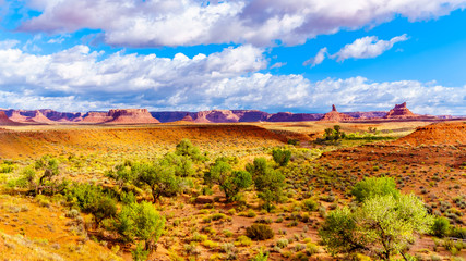 Naklejka premium The Red Sandstone Buttes and Pinnacles in the semi desert landscape in the Valley of the Gods State Park near Mexican Hat, Utah, United States