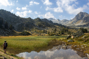 Fototapeta na wymiar hiker along a mountain pond overgrown with reeds