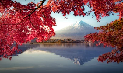  Colorful Autumn Season and Mountain Fuji with morning fog and red leaves at lake Kawaguchiko is one of the best places in Japan © Travel mania