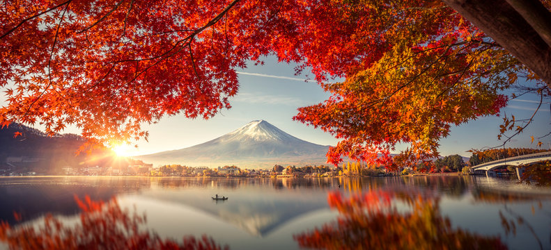 Colorful Autumn Season and Mountain Fuji with morning fog and red leaves at lake Kawaguchiko is one of the best places in Japan