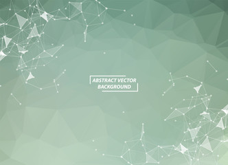 Abstract Gray Geometric Polygonal background molecule and communication. Connected lines with dots. Concept of the science, chemistry, biology, medicine, technology.