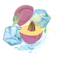 plum - Fruit Set - Series in the portfolio