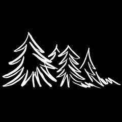 Fototapeta premium Christmas tree marker lines holiday new year christmas spruce green white