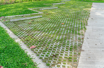 Concrete block floor with green grass