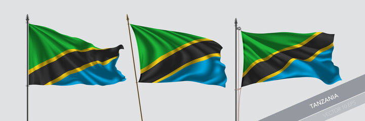 Set of Tanzania waving flag on isolated background vector illustration