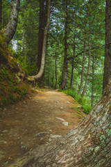 Fototapeta premium Mushkpuri Top, Nathiagali, Pakistan