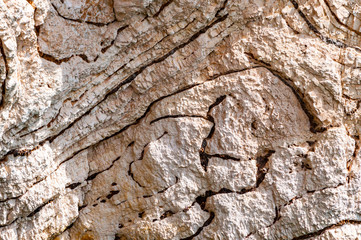 Closeup view on limestone rock texture fragment on Gargano coastline in Italy