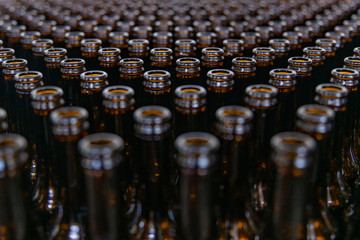 Many empty beer bottles rows