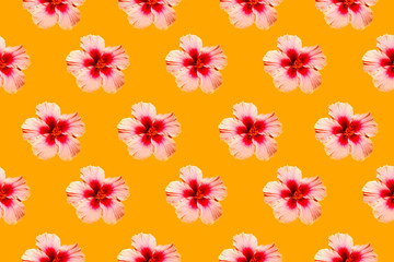 Seamless pattern image of hibiscus flowers on yellow background