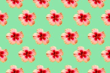Seamless pattern image of hibiscus flowers on pastel color