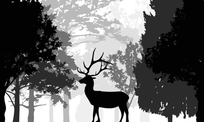 single black deer in grey forest