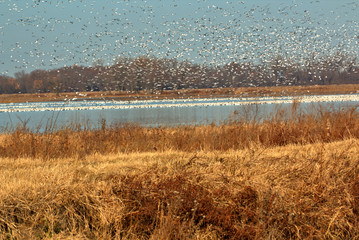 Sunrise on Wildlife Refuge