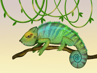 illustration of chameleon