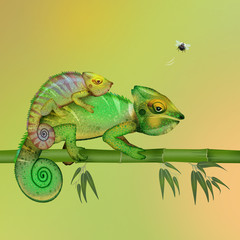 illustration of two camouflaged chameleons