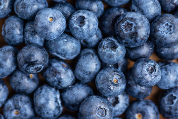 healthy food antioxidant blueberry berries closeup