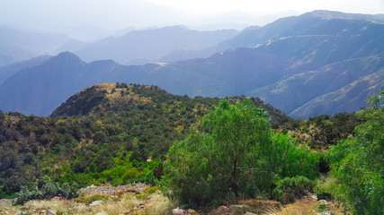natural park in abha city Saudi arabia - So beautiful clear blue sky - nice day