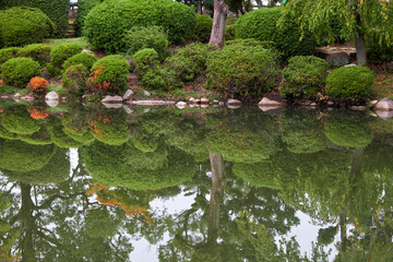 Fototapeta na wymiar The traditional Japanese garden in the inner bailey of Osaka Castle. Japan