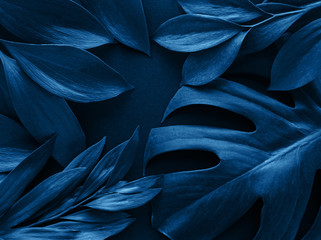 Tropical leaves and monstera leaf toned classic blue color