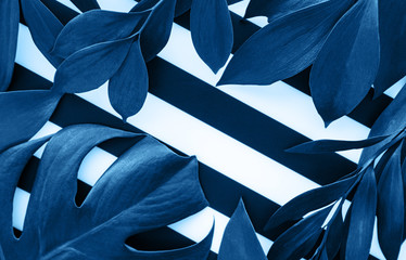 Green leaves toned classic blue color