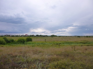 Fototapeta premium grass in a meadow by the river