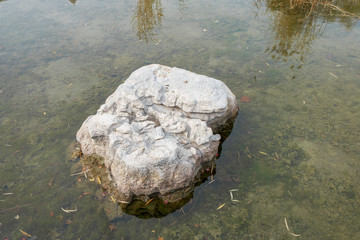 stone in Chinese pond