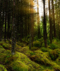 Marble Arch Caves Global Geopark and Cuilcagh Boardwalk Trail Ireland 