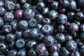 Sweet blueberries closeup background. Tasty and healthy berry.