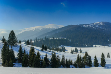 Winter landscape in Carphatians Mountain (Ukraine)