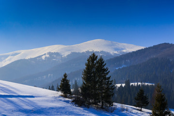 Fototapeta na wymiar Winter landscape in Carphatians Mountain (Ukraine)