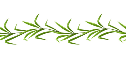 Liana seamless pattern. Jungle vines plant with green leaves.