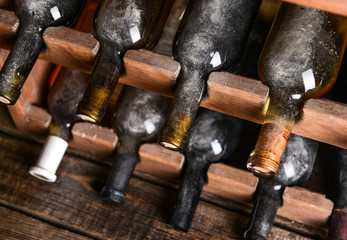 Holder with bottles of wine in cellar