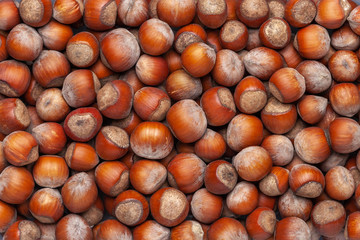 Hazelnut background. made from natural nuts. Top view
