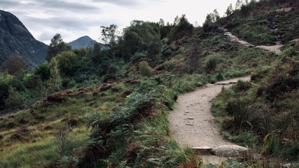 A path in the nature