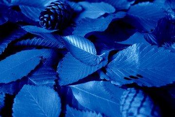 Classic Blue background. Color of the year 2020. Trendy Classic Blue color.