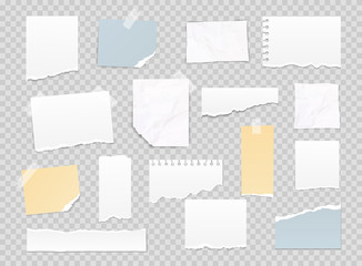 Collection of various note papers, banner set. Different scraps of paper stuck by sticky tape. Vector illustration. - obrazy, fototapety, plakaty