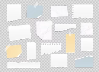 Tapeten Collection of various note papers, banner set. Different scraps of paper stuck by sticky tape. Vector illustration. © Olesia_g